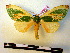  ( - BC-PTh0281)  @13 [ ] Copyright (2010) Unspecified Research Collection of Paul Thiaucourt