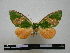  ( - BC-PTh0286)  @13 [ ] Copyright (2010) Unspecified Research Collection of Paul Thiaucourt