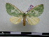  ( - BC-PTh0291)  @12 [ ] Copyright (2010) Unspecified Research Collection of Paul Thiaucourt