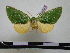  ( - BC-PTh0293)  @11 [ ] Copyright (2010) Unspecified Research Collection of Paul Thiaucourt