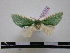  ( - BC-PTh0302)  @13 [ ] Copyright (2010) Unspecified Research Collection of Paul Thiaucourt