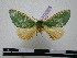  ( - BC-PTh0305)  @13 [ ] Copyright (2010) Unspecified Research Collection of Paul Thiaucourt