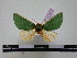  ( - BC-PTh0307)  @13 [ ] Copyright (2010) Unspecified Research Collection of Paul Thiaucourt