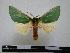  ( - BC-PTh0308)  @14 [ ] Copyright (2010) Unspecified Research Collection of Paul Thiaucourt