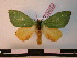 ( - BC-PTh0331)  @13 [ ] Copyright (2010) Unspecified Research Collection of Paul Thiaucourt