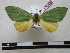  ( - BC-PTh0342)  @13 [ ] Copyright (2010) Unspecified Research Collection of Paul Thiaucourt