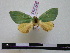  ( - BC-PTh0348)  @13 [ ] Copyright (2010) Unspecified Research Collection of Paul Thiaucourt