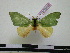  ( - BC-PTh0350)  @13 [ ] Copyright (2010) Unspecified Research Collection of Paul Thiaucourt