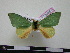  ( - BC-PTh0351)  @13 [ ] Copyright (2010) Unspecified Research Collection of Paul Thiaucourt