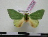  ( - BC-PTh0354)  @13 [ ] Copyright (2010) Unspecified Research Collection of Paul Thiaucourt