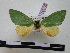  ( - BC-PTh0377)  @13 [ ] Copyright (2010) Unspecified Research Collection of Paul Thiaucourt