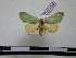  ( - BC-PTh0384)  @11 [ ] Copyright (2010) Unspecified Research Collection of Paul Thiaucourt