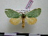  ( - BC-PTh0385)  @11 [ ] Copyright (2010) Unspecified Research Collection of Paul Thiaucourt