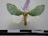  ( - BC-PTh0390)  @11 [ ] Copyright (2010) Unspecified Research Collection of Paul Thiaucourt