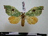  ( - BC-PTh0444)  @13 [ ] Copyright (2010) Unspecified Research Collection of Paul Thiaucourt