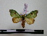  ( - BC-PTh0447)  @13 [ ] Copyright (2010) Unspecified Research Collection of Paul Thiaucourt