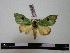  ( - BC-PTh0450)  @11 [ ] Copyright (2010) Unspecified Research Collection of Paul Thiaucourt
