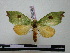  ( - BC-PTh0451)  @11 [ ] Copyright (2010) Unspecified Research Collection of Paul Thiaucourt