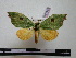  ( - BC-PTh0452)  @13 [ ] Copyright (2010) Unspecified Research Collection of Paul Thiaucourt