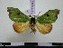  ( - BC-PTh0474)  @14 [ ] Copyright (2010) Unspecified Research Collection of Paul Thiaucourt