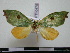  ( - BC-PTh0475)  @13 [ ] Copyright (2010) Unspecified Research Collection of Paul Thiaucourt