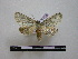  ( - BC-PTh0550)  @13 [ ] Copyright (2010) Unspecified Research Collection of Paul Thiaucourt