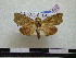  ( - BC-PTh0562)  @13 [ ] Copyright (2010) Unspecified Research Collection of Paul Thiaucourt