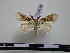  ( - BC-PTh0596)  @13 [ ] Copyright (2010) Unspecified Research Collection of Paul Thiaucourt