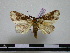  ( - BC-PTh0597)  @11 [ ] Copyright (2010) Unspecified Research Collection of Paul Thiaucourt