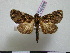  ( - BC-PTh0599)  @11 [ ] Copyright (2010) Unspecified Research Collection of Paul Thiaucourt