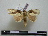  ( - BC-PTh0603)  @11 [ ] Copyright (2010) Unspecified Research Collection of Paul Thiaucourt
