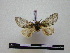  ( - BC-PTh0624)  @11 [ ] Copyright (2010) Unspecified Research Collection of Paul Thiaucourt