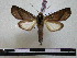  ( - BC-PTh0663)  @11 [ ] Copyright (2010) Unspecified Research Collection of Paul Thiaucourt