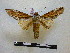  ( - BC-PTh0680)  @13 [ ] Copyright (2010) Unspecified Research Collection of Paul Thiaucourt