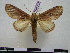  ( - BC-PTh0707)  @11 [ ] Copyright (2010) Unspecified Research Collection of Paul Thiaucourt