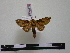  ( - BC-PTh0724)  @12 [ ] Copyright (2010) Unspecified Research Collection of Paul Thiaucourt