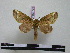  ( - BC-PTh0725)  @13 [ ] Copyright (2010) Unspecified Research Collection of Paul Thiaucourt