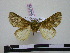  ( - BC-PTh0729)  @12 [ ] Copyright (2010) Unspecified Research Collection of Paul Thiaucourt