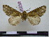  ( - BC-PTh0733)  @13 [ ] Copyright (2010) Unspecified Research Collection of Paul Thiaucourt