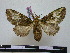  ( - BC-PTh0736)  @14 [ ] Copyright (2010) Unspecified Research Collection of Paul Thiaucourt