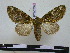  ( - BC-PTh0737)  @14 [ ] Copyright (2010) Unspecified Research Collection of Paul Thiaucourt