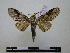  ( - BC-PTh0777)  @11 [ ] Copyright (2010) Unspecified Research Collection of Paul Thiaucourt