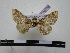  ( - BC-PTh0700)  @12 [ ] Copyright (2010) Unspecified Research Collection of Paul Thiaucourt