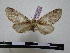  ( - BC-PTh0701)  @12 [ ] Copyright (2010) Unspecified Research Collection of Paul Thiaucourt