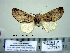  ( - Ed3-4-4 B2840-17)  @13 [ ] Copyright (2010) Unspecified Research Collection of Paul Thiaucourt