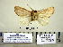  ( - Ed3-4-4 B2840-17)  @13 [ ] Copyright (2010) Unspecified Research Collection of Paul Thiaucourt