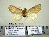  ( - Ed3-4-7 B2840-18)  @12 [ ] Copyright (2010) Unspecified Research Collection of Paul Thiaucourt