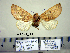  ( - Ed3-4-8 B2840-19)  @13 [ ] Copyright (2010) Unspecified Research Collection of Paul Thiaucourt