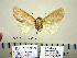  ( - Ed3-4-8 B2840-19)  @13 [ ] Copyright (2010) Unspecified Research Collection of Paul Thiaucourt