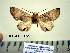  ( - Ed3-7-1 B2840-22)  @13 [ ] Copyright (2010) Unspecified Research Collection of Paul Thiaucourt